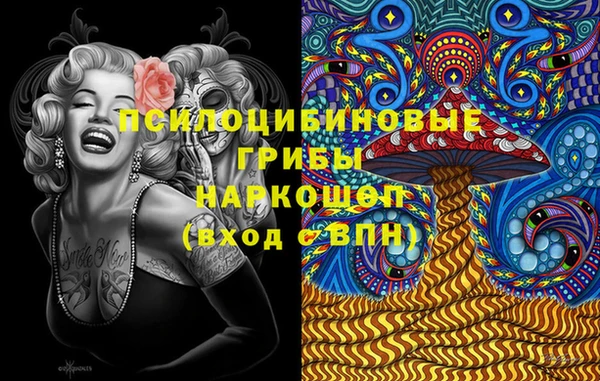 синтетический гашиш Костерёво