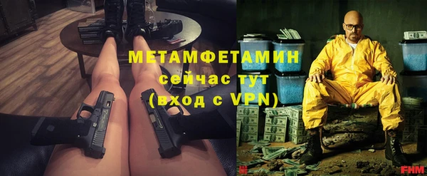индика Козельск