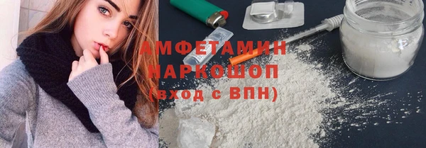 индика Козельск