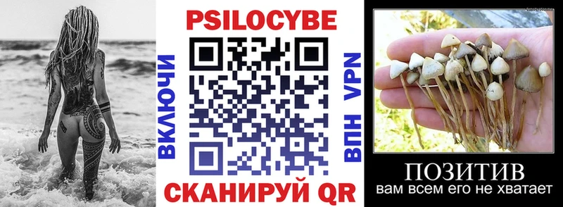 Галлюциногенные грибы GOLDEN TEACHER  OMG ссылка  Киржач 