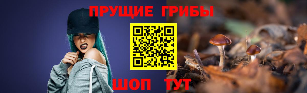 Псилоцибиновые грибы мухоморы  Вход с VPN  Псилоцибиновые грибы Magic Shrooms  Киржач 
